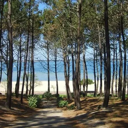 Arcachon, 6 Pieces, 10 Personnes - Fr-1-374-12 *